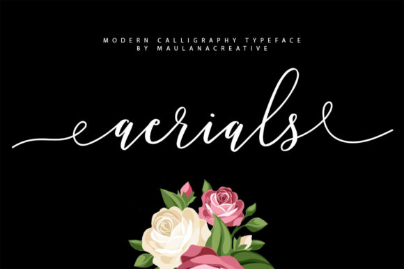 Aerials: Elevate Your Web Design with This Elegant Script Font