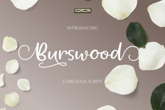 Burswood: Elevate Your Brand with This Elegant Handwritten Font