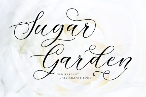 Discovering Sugar Garden: A Font for Elegant Branding