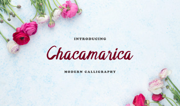 Enhance Your Brand with Chacamarica Font
