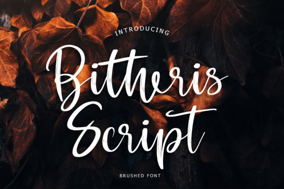 Enhance Your Campaigns with Bitheris Font