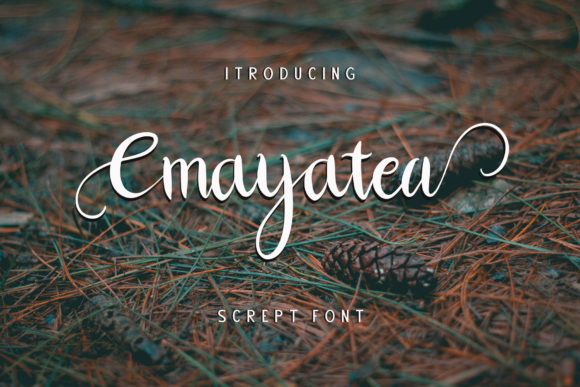 Enhance Your Editorial Design with Cmayatea Font